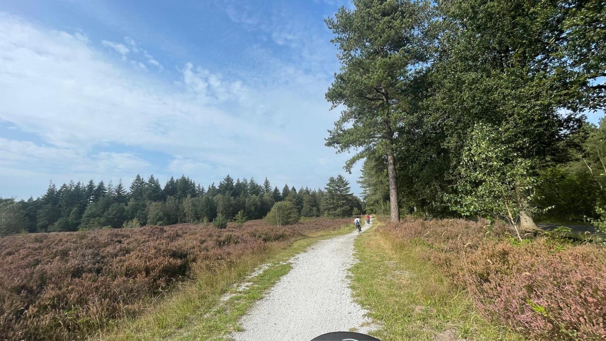 Willa Sayang26 Gezellige Gezinsvriendelijke Stacaravan Op Familiecamping De Vossenburcht In Natuurgebied Reestdal - No Workers Allowed IJhorst Zewnętrze zdjęcie